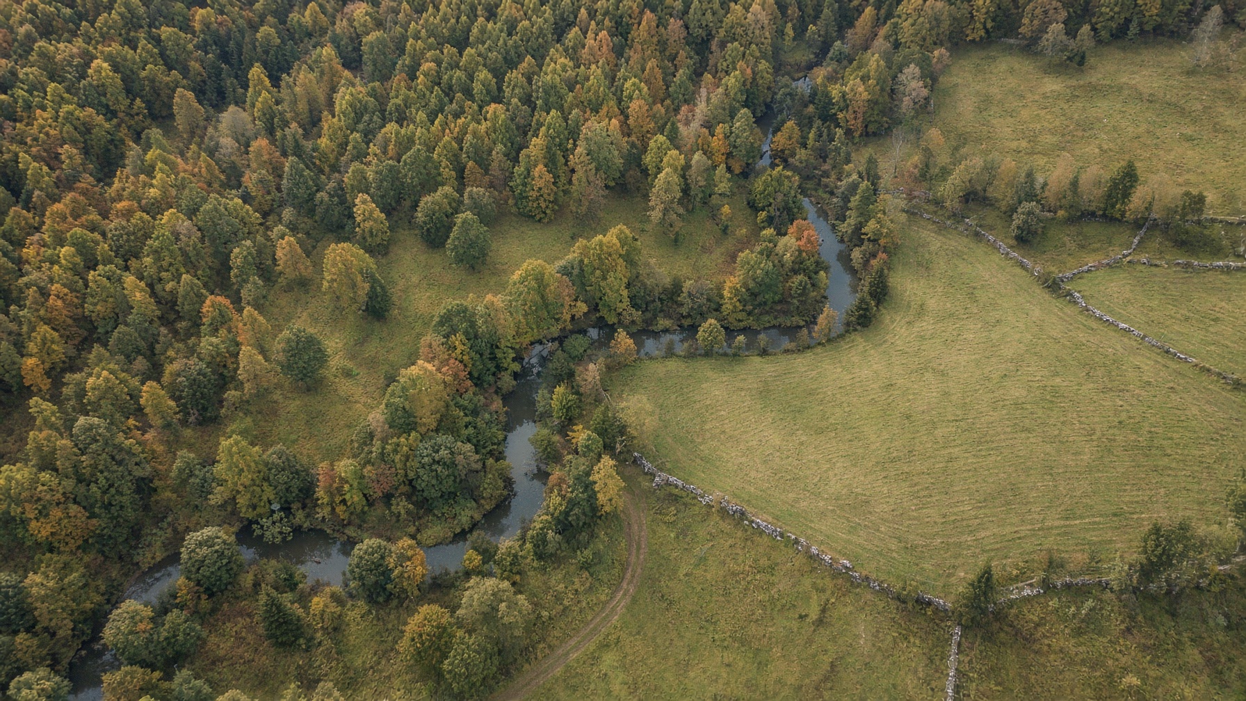 Aerial view of mixed woods, fields, and a winding stream