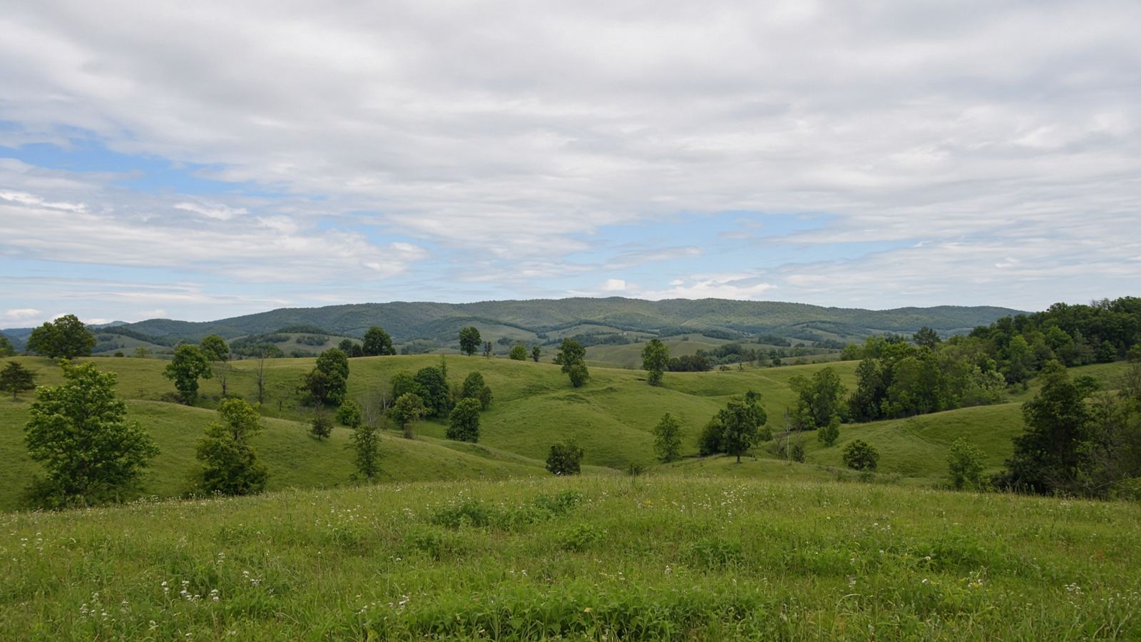 Open rolling hills and a wooded ridgeline